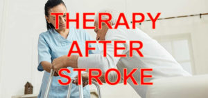 THERAPY AFTER STROKE ARNI R 300x142 - MEASURING HOW YOUR MOVEMENT IMPROVES AFTER STROKE - Stroke Exercise Training - online courses for therapists