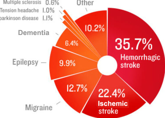 PERCENTAGES epilepsy - How do I Cope with Epilepsy after Stroke? - Stroke Rehabilitation and Exercise Training for Survivors & Specialist Stroke Courses for Therapists and Trainers, Online and Face to Face