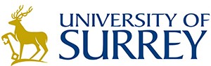 surrey - Cognitive Functioning: Identity and Mood in Stroke - Stroke Rehabilitation and Exercise Training for Survivors & Specialist Stroke Courses for Therapists and Trainers, Online and Face to Face