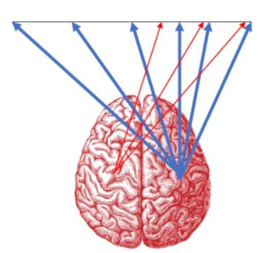 Spatial neglect ARNI - CAN APPS HELP REHAB VISION AND ATTENTION AFTER STROKE? - Stroke Rehabilitation and Exercise Training for Survivors & Specialist Stroke Courses for Therapists and Trainers, Online and Face to Face