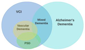 2024 05 21 15 17 54 300x177 - MANAGING VASCULAR DEMENTIA AFTER STROKE - Stroke Rehabilitation and Exercise Training for Survivors & Specialist Stroke Courses for Therapists and Trainers, Online and Face to Face