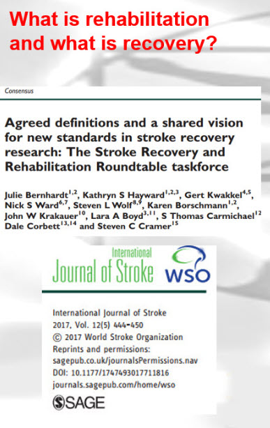 2024 07 17 14 49 31 - THE EVIDENCE AND 'THE BIG 10' OF STROKE RECOVERY - Stroke Rehabilitation and Exercise Training for Survivors & Specialist Stroke Courses for Therapists and Trainers, Online and Face to Face