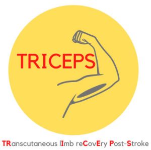 triceps logo 300x298 - CAN VAGUS NERVE STIM HELP ARM RECOVERY AFTER STROKE? - Stroke Rehabilitation and Exercise Training for Survivors & Specialist Stroke Courses for Therapists and Trainers, Online and Face to Face