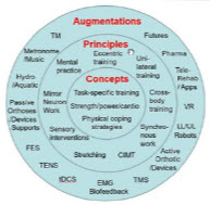 2024 12 31 12 57 32 - Dr. Tom Balchin OBE - Stroke Rehabilitation and Exercise Training for Survivors & Specialist Stroke Courses for Therapists and Trainers, Online and Face to Face